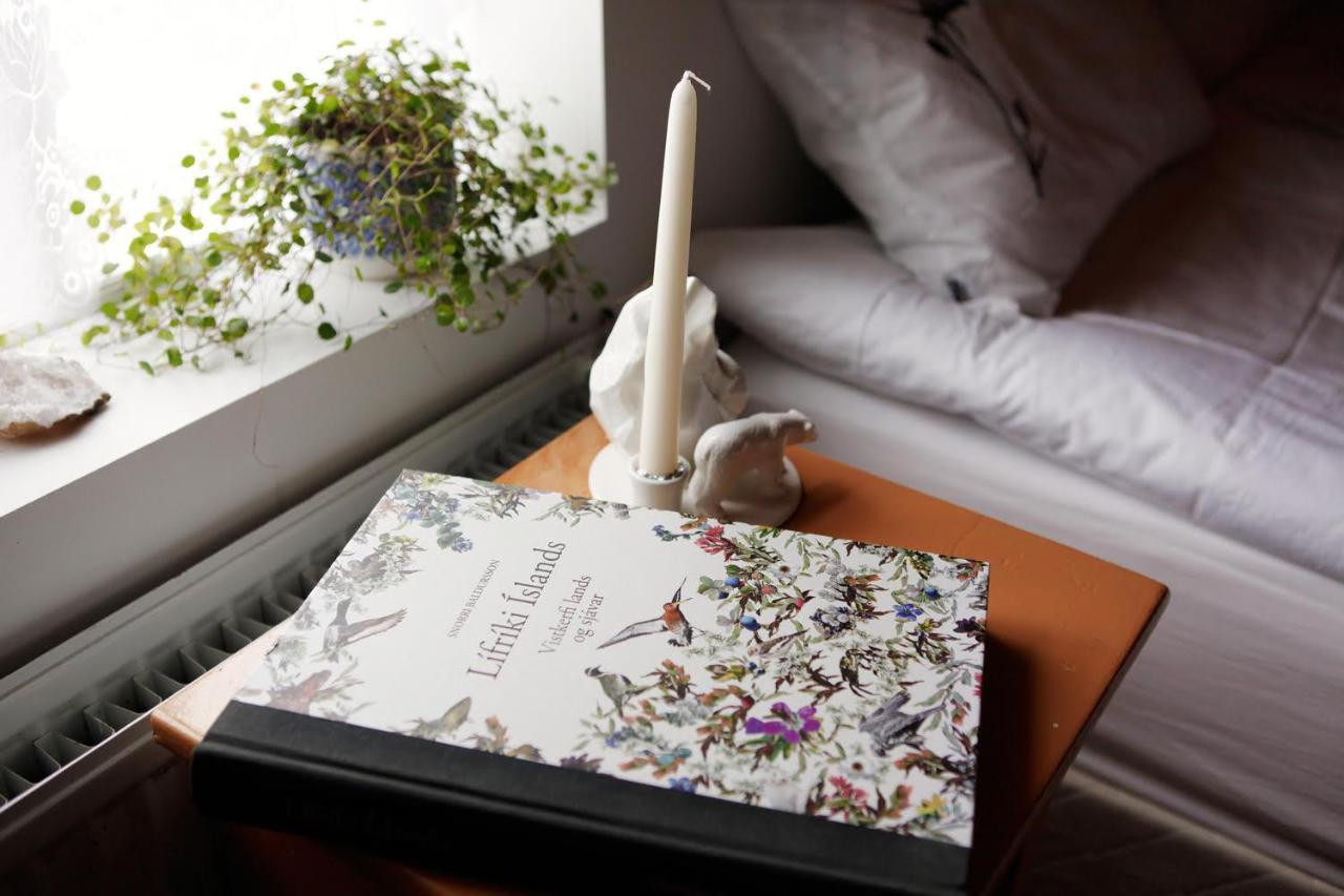 Apartament Nylenda Seyðisfjörður Zewnętrze zdjęcie